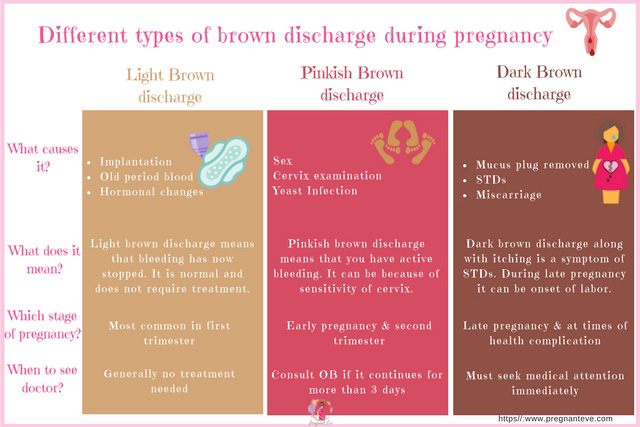 Pinkish Brown Discharge After Period 2024
